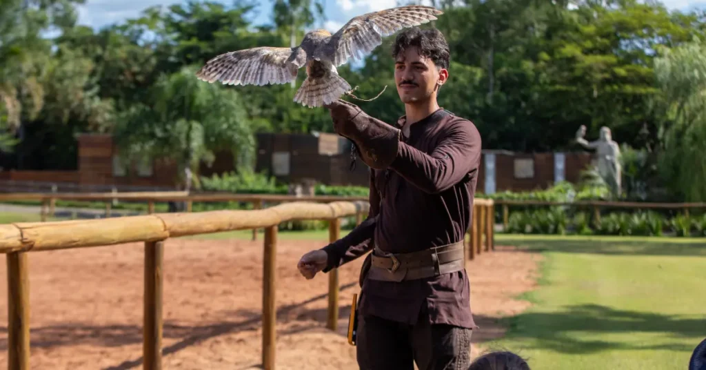 Capa do blog: Zoológico de Foz do Iguaçu - voo da coruja