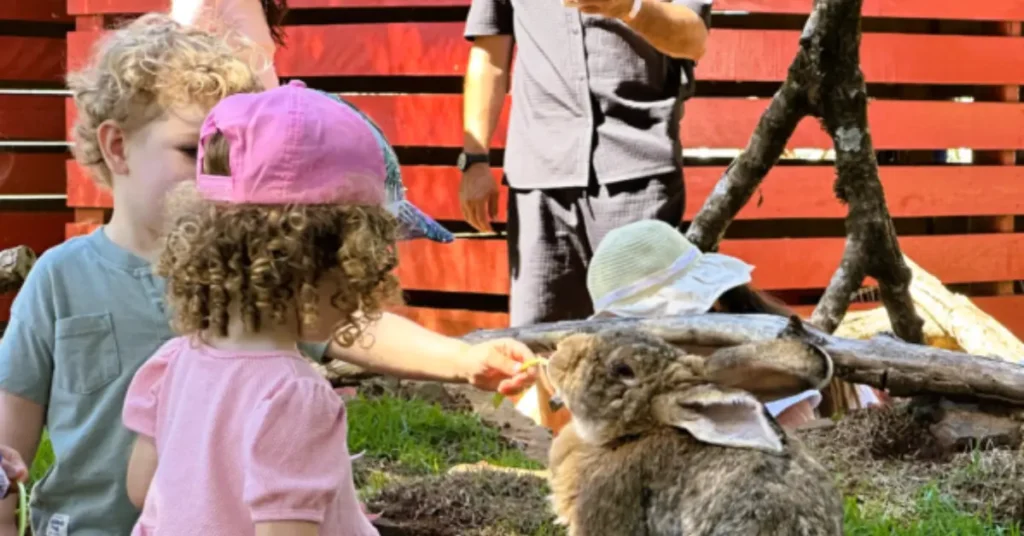 Capa do blog: visita Zoo Park Foz